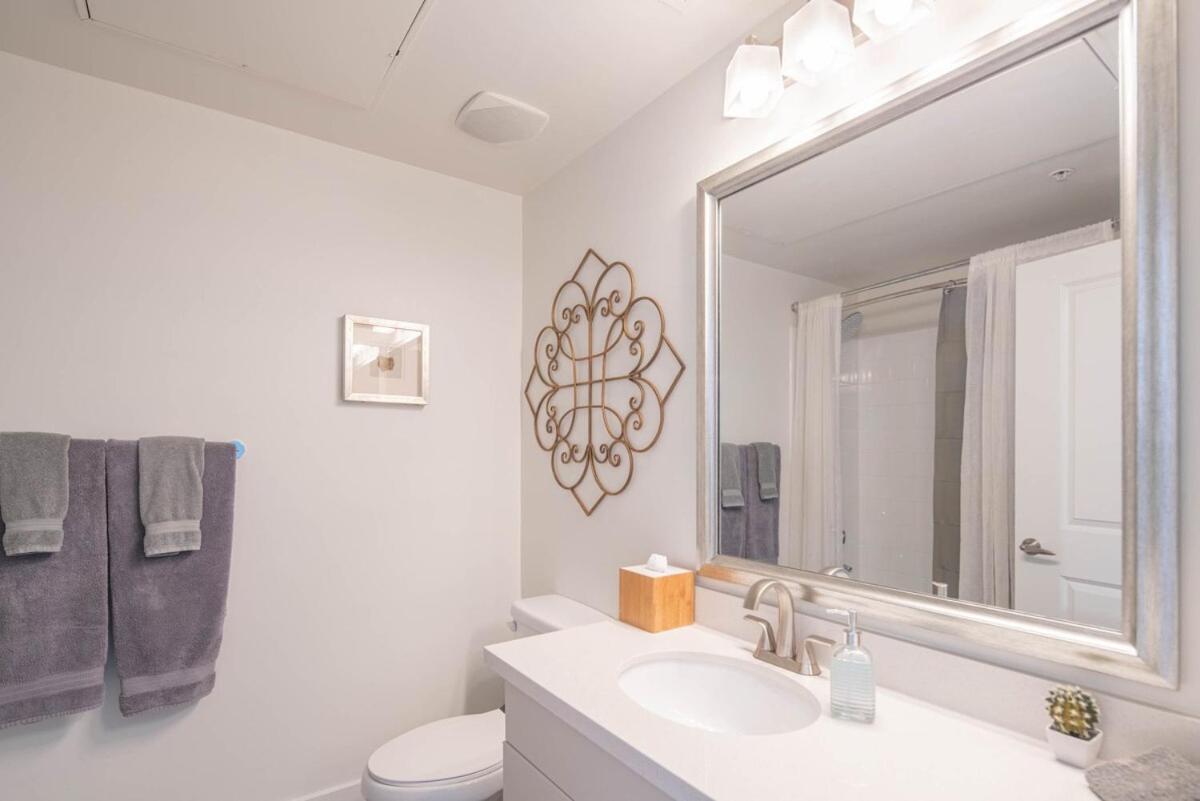 Modern Elegance Furnished 1br Near Mayo Clinic S431 Apartment